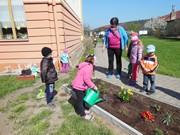 Pečujeme o květinový záhonek